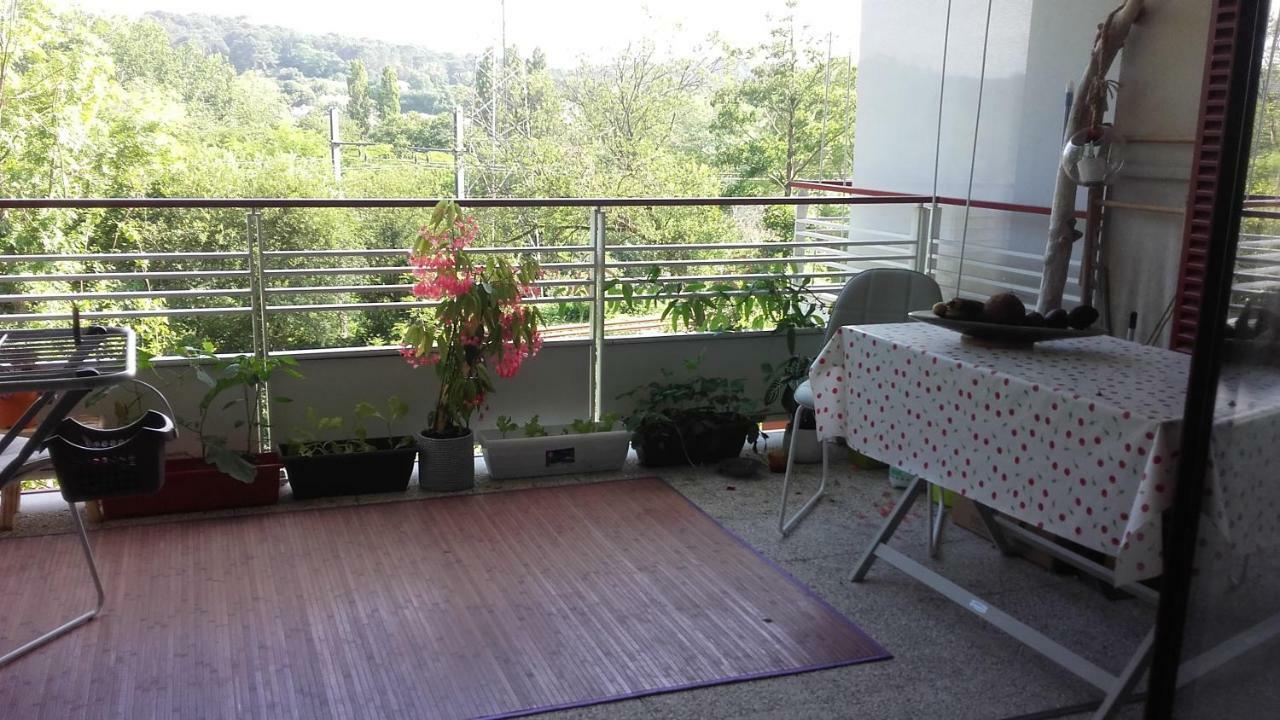 T2 Bis Avec Terrasse Vue Montagne Proche Mer, Commerces Et Biarritz Бидар Екстериор снимка